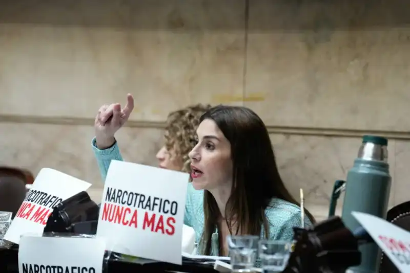 Diputados declaró la nulidad del decreto que suspendió la Ley de Emergencia en Discapacidad La Cámara de Diputados restituyó la vigencia de la Ley de Emergencia en Discapacidad y declaró nulo el decreto que la había suspendido.