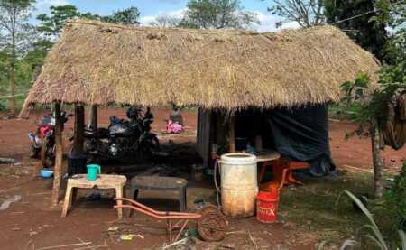 mbya muerto en iguazú