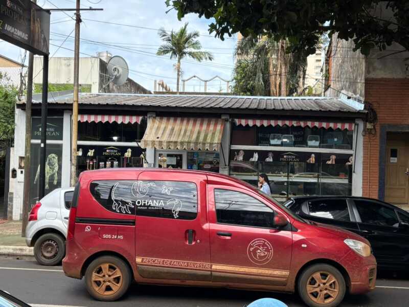 Allanaron una veterinaria céntrica de Posadas por la presencia de fauna silvestre ilegal 5 movil de ohana allanamiento - 4
