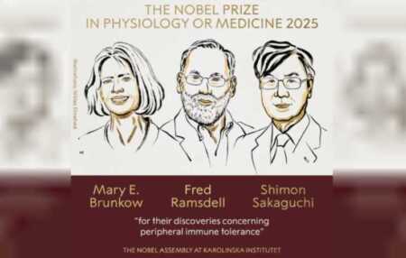 El Nobel de Medicina 2025 para los “guardianes” del sistema inmune nobel
