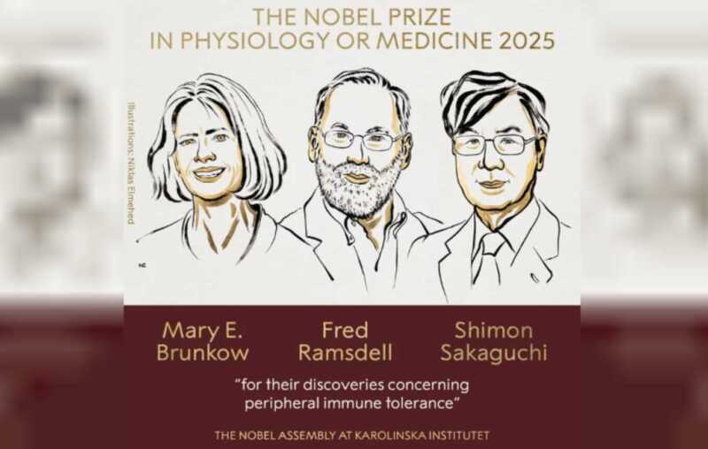 El Nobel de Medicina 2025 para los “guardianes” del sistema inmune nobel