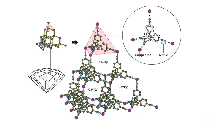 nobel moleculas - 6