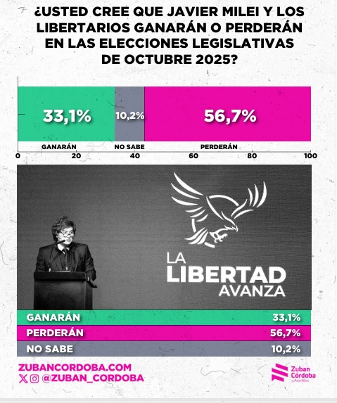 Londero: “Si Milei pierde, un 30% de los argentinos cree que debería renunciar” 2 percepcion voto - 1