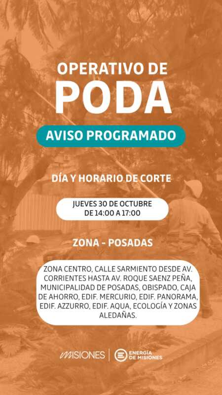 Energía de Misiones realizará operativos de poda programada en distintos puntos de Posadas 3 poda posadas 1 - 2