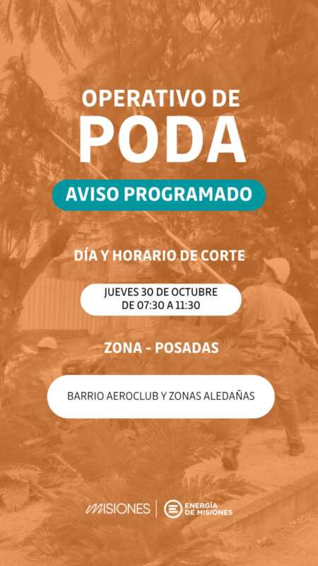 Energía de Misiones realizará operativos de poda programada en distintos puntos de Posadas 5 poda posadas 2 - 4