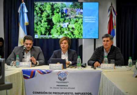 Presupuesto Misiones 2026: 70% para educación, salud y contención social Sesión ordinaria de Diputados tratará el Presupuesto 2026 y el presupuesto de la Cámara de Representantes este jueves.