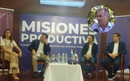 La Cámara de Molineros niega oligopolio en la yerba mate y advierte: “La industria está en crisis” yerba mate