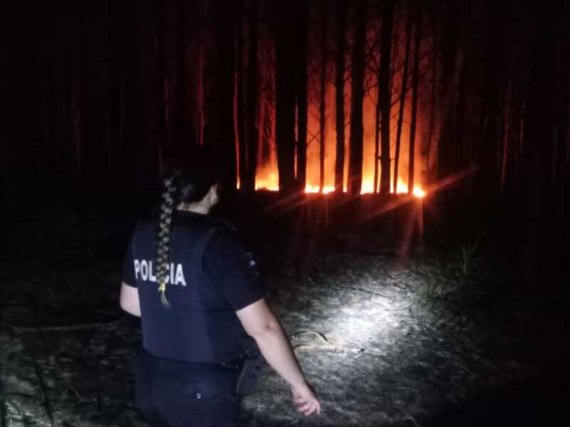 Corpus: Controlaron incendio que afectó un pinar y un yerbal 5 1 1 - 4