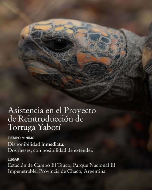 Voluntariado en El Impenetrable: una experiencia única junto a Rewilding Argentina 7 571029613 18413276680186407 5320140113246228059 n - 6
