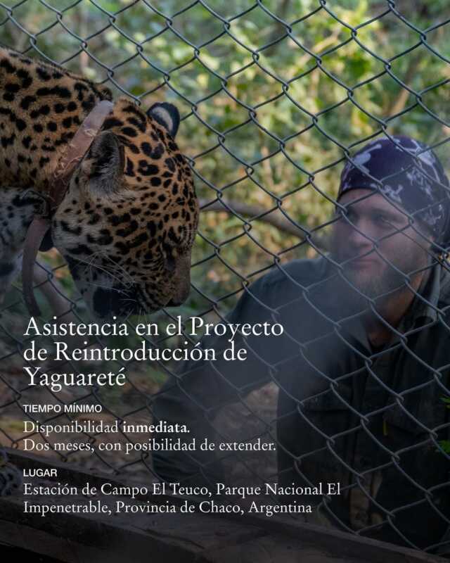 Voluntariado en El Impenetrable: una experiencia única junto a Rewilding Argentina 5 571578416 18413276671186407 2828618585051221599 n - 4