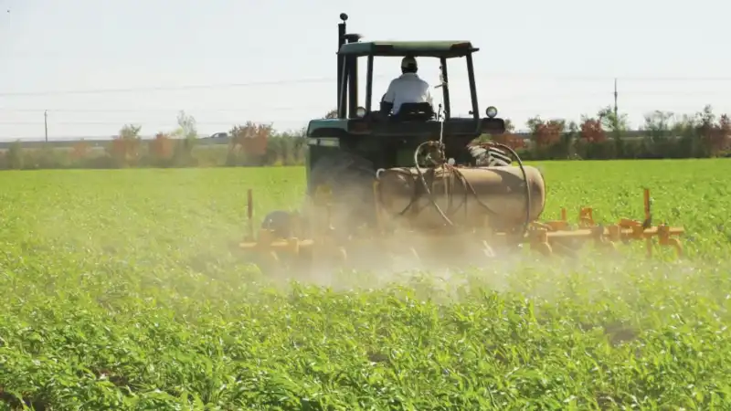 CASAFE refuerza su compromiso con la inocuidad alimentaria en el Congreso CYTAL 2025 2 CASAFE destaca avances científicos sobre residuos de fitosanitarios en CYTAL 2025