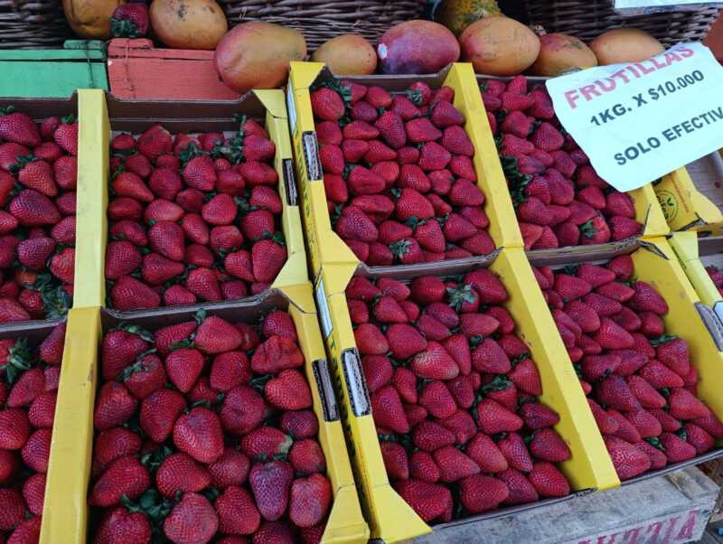 Comerciante