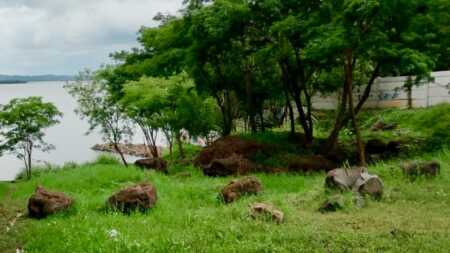 El Montecito de Villa Cabello: frenan una obra ilegal del Club Pira Pytá sobre la última costa natural de Posadas Desde la asamblea de vecinos de Villa Cabello advierten que la obra de bajada de lanchas invade una reserva urbana ambiental y profundiza el modelo de “costa privatizada” en Posadas.