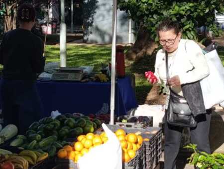 Frutas, verduras y tortas fritas, los elegidos de la feria de emprendedores en Posadas Posadas feria
