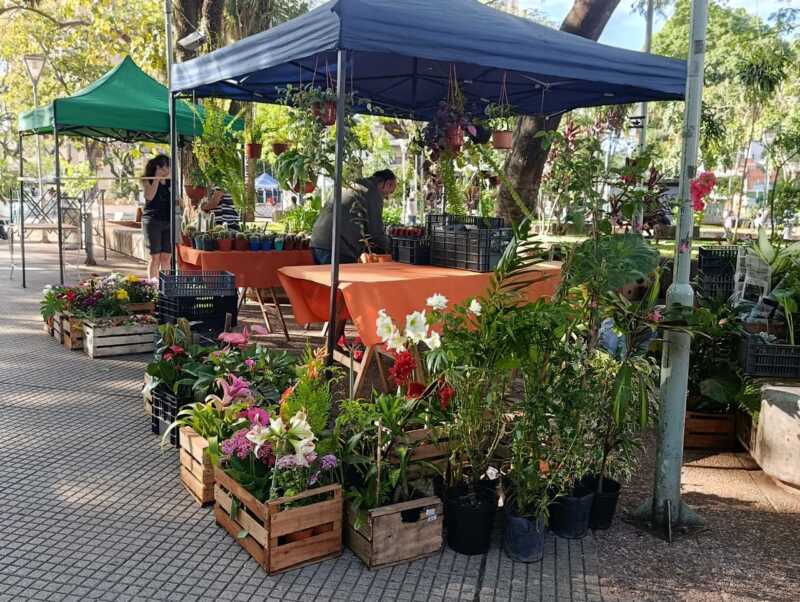 Frutas, verduras y tortas fritas, los elegidos de la feria de emprendedores en Posadas 4 Feria emprendedores posadas 7 - 3
