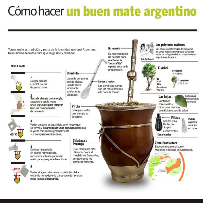 Día del Mate: una investigación destaca su impacto en la salud bucal 6 GALIKgAXsAA5VOs - 5