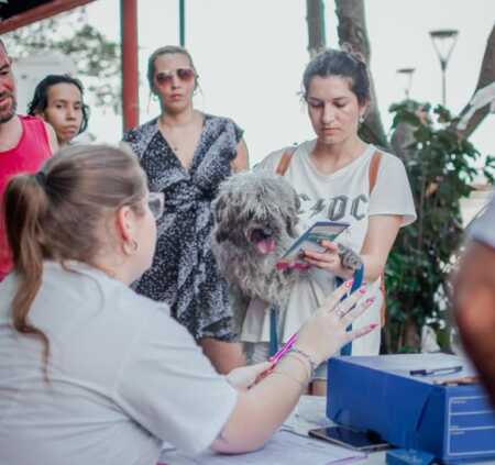 Castraciones y vacunación gratuita: en qué barrios estará IMuSA hasta este viernes imusa posadas
