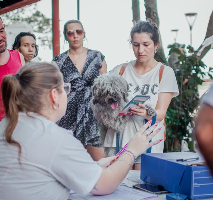 Castraciones y vacunación gratuita: en qué barrios estará IMuSA hasta este viernes imusa posadas