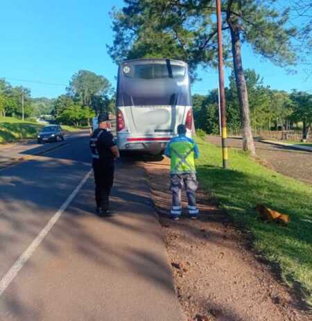 Viaje bajo riesgo: colectivero alcoholizado fue detenido en San Martín Imagen de WhatsApp 2025 11 03 a las 20.39.56 22698ca5 e1762213835470 - 2