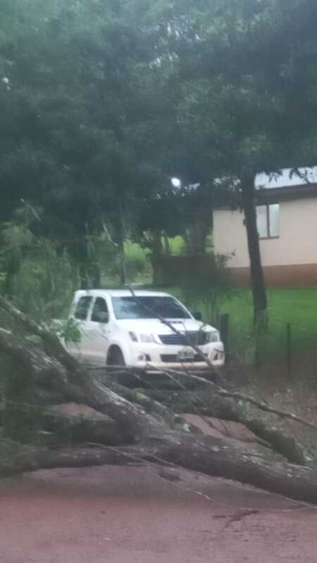 Temporal azotó Bernardo de Irigoyen y tornados destruyeron Dionisio Cerqueira y Río Bonito do Iguaçu 2 Temporal en Bernardo de Irigoyen: voladura de techos y caída de árboles