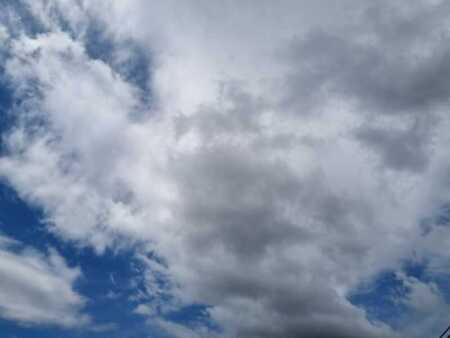 Misiones: nubosidad, calor húmedo y leve inestabilidad Imagen de WhatsApp 2025 11 16 a las 10.57.43 cb25e43b - 5