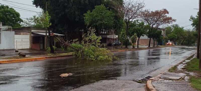 Tormenta ocasiono destrozos en varios puntos de la provincia 4 Imagen de WhatsApp 2025 11 16 a las 16.18.41 6de85e90 - 3