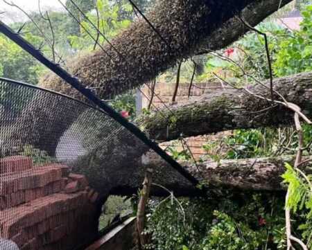 Tormenta ocasiono destrozos en varios puntos de la provincia Imagen de WhatsApp 2025 11 16 a las 18.30.01 8c398f81 e1763337515279 - 5