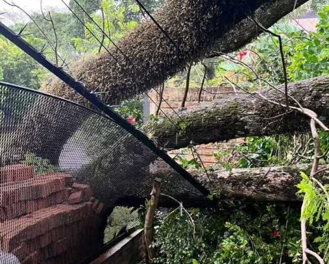 Tormenta ocasiono destrozos en varios puntos de la provincia Imagen de WhatsApp 2025 11 16 a las 18.30.01 8c398f81 e1763337515279 - 1