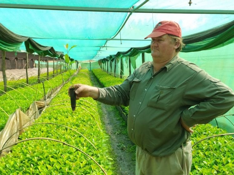 Yerbateros protestarán en el Matear 2026 por la crisis del sector: "Dicen que estamos de fiesta pero es un velorio" 1 “Si cosechamos, financiamos la joda de la industria y seguimos sin cobrar”, advirtió el productor yerbatero Luis Andruszyszyn desde Las Tunas, en el sur de Misiones. Foto: Bichos de Campo.