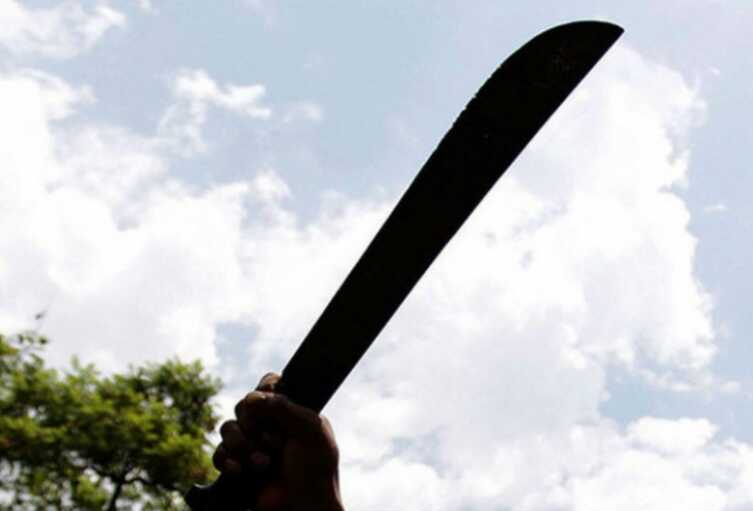 Montecarlo: atacó con un machete al pitbull de su vecino 3 Machete - 2
