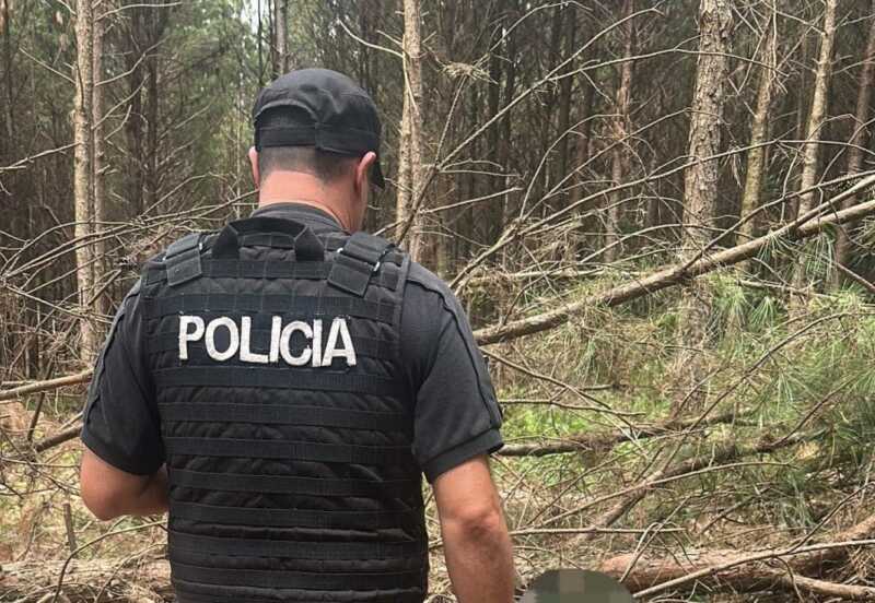 Ruiz de Montoya: trabajador rural falleció aplastado por un eucalipto 4 Policia1 - 3
