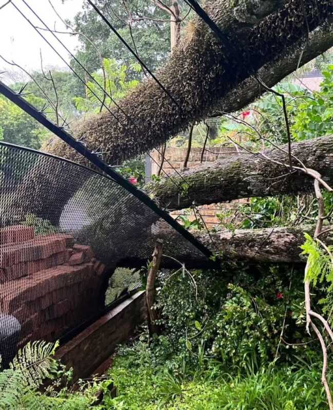 Tormenta ocasiono destrozos en varios puntos de la provincia 5 Posadas