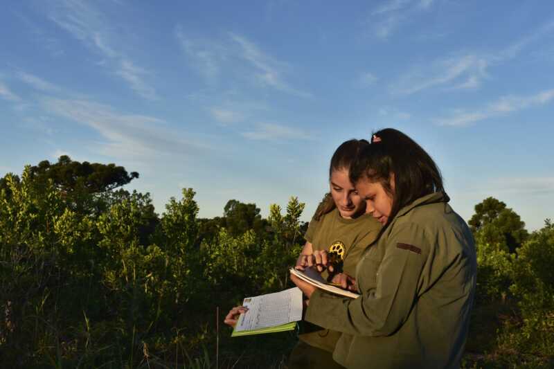 En Misiones hay 323 ejemplares de Loro Pecho Vinoso: la especie está en riesgo extremo 7 Voluntarias realizando el conteo de Loro Pecho Vinoso 2025 - 6