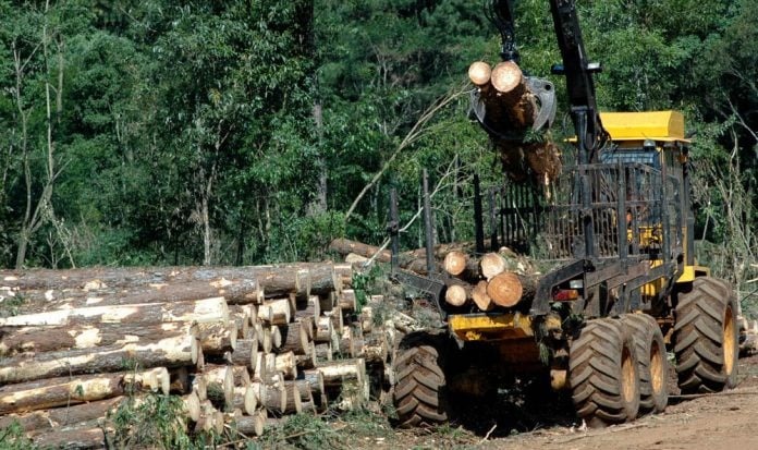El Infopro congeló los precios de la materia prima por seis meses y crece la tensión salarial en el sector forestal Sector forestal