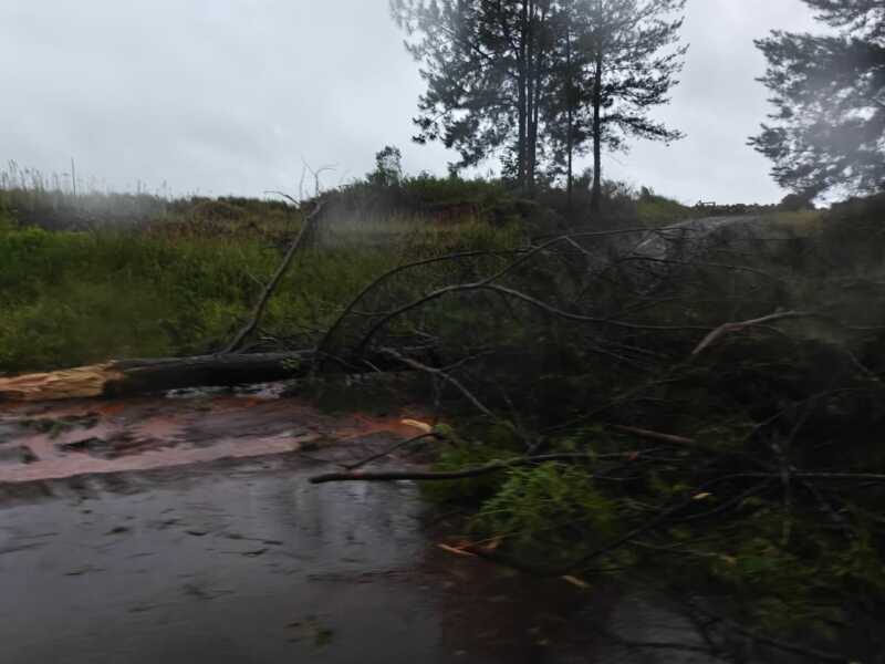 Tormenta ocasiono destrozos en varios puntos de la provincia 23 Tormenta