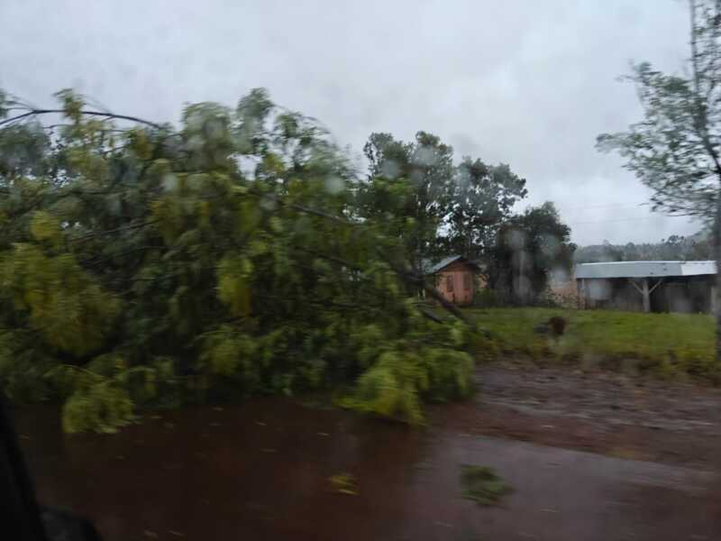 Tormenta ocasiono destrozos en varios puntos de la provincia 25 WhatsApp Image 2025 11 16 at 18.41.26 - 24