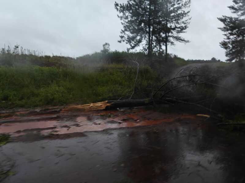 Tormenta ocasiono destrozos en varios puntos de la provincia 18 WhatsApp Image 2025 11 16 at 18.41.27 1 - 17
