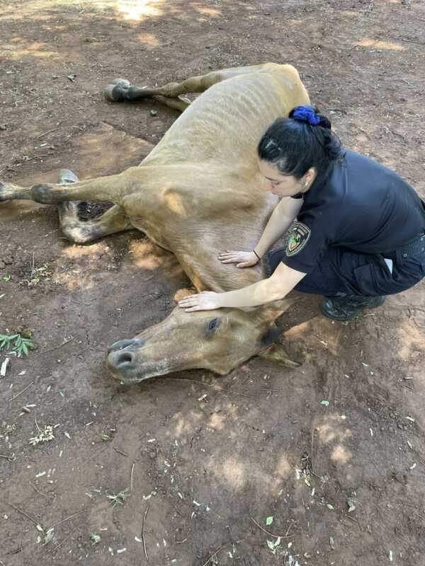 WhatsApp Image 2025 11 25 at 11.16.13 - 1