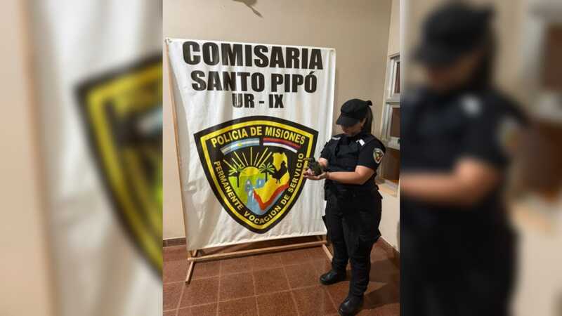 tucán rescatado en Santo Pipó