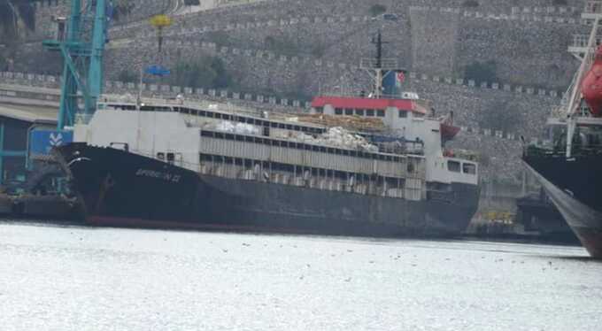 Buque con 3.000 vacas uruguayas fue desviado a Libia tras quedar varado: murieron 40 animales 3 barco - 2