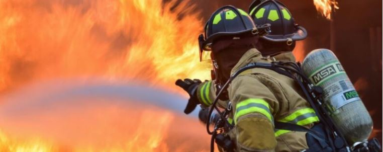 Corpus: Controlaron incendio que afectó un pinar y un yerbal 3 bb - 2
