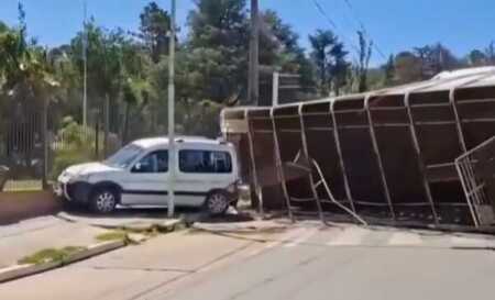 camion vacas2 - 2