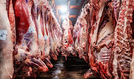 La carne importada gana terreno en Argentina y redefine el negocio del sector Las importaciones de carne vacuna, lideradas por Brasil, dejan de ser marginales y comienzan a modificar el funcionamiento del mercado interno, en un contexto de mayor orientación exportadora y caída del consumo local.