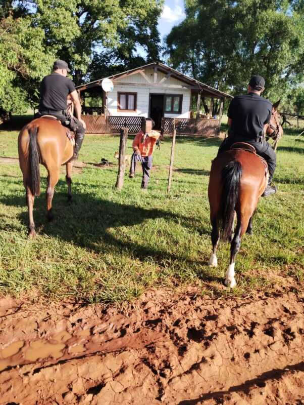 Megaoperativo policial en Misiones: 39 detenidos y casi 100 vehículos incautados en 24 horas 10 controles misiones 1 - 9