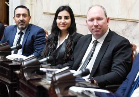 diputados renovadores