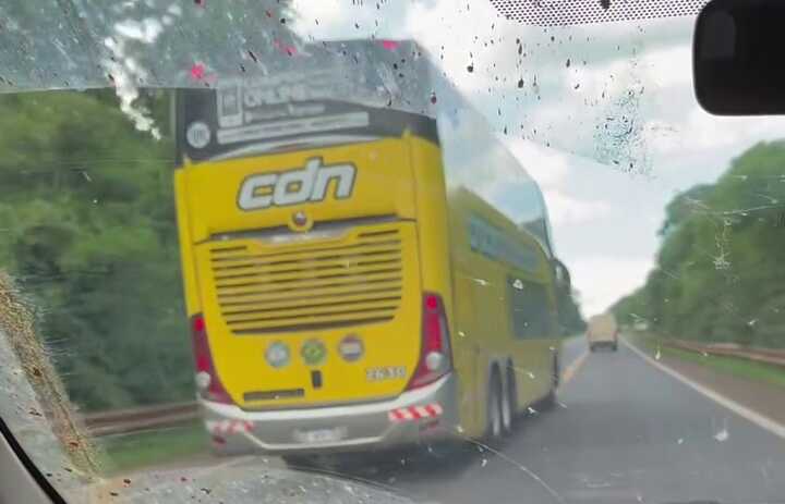 Atropellamiento animal: colectivo y hasta un móvil policial filmados con exceso de velocidad 5 exceso velocidad Misiones 1 - 4