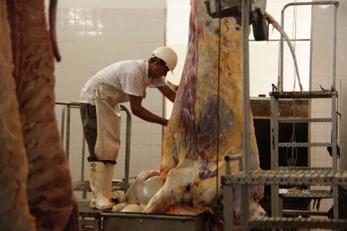 Tras inspección, cerraron preventivamente el matadero municipal de San Javier 2 san javier