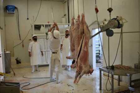 Cae la faena en mataderos municipales por bajo consumo y advierten baja sostenibilidad del servicio frigorífico san josé