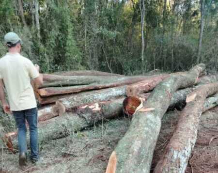 A dos meses del Campamento por la Tierra y la Vida, el MAM advierte sobre maniobras ilegales y complicidad de funcionarios en la apropiación de tierras.