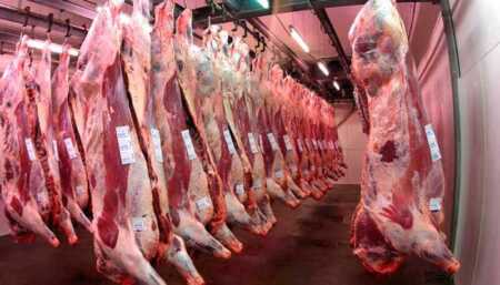 Tras inspección, cerraron preventivamente el matadero municipal de San Javier matadero san javier